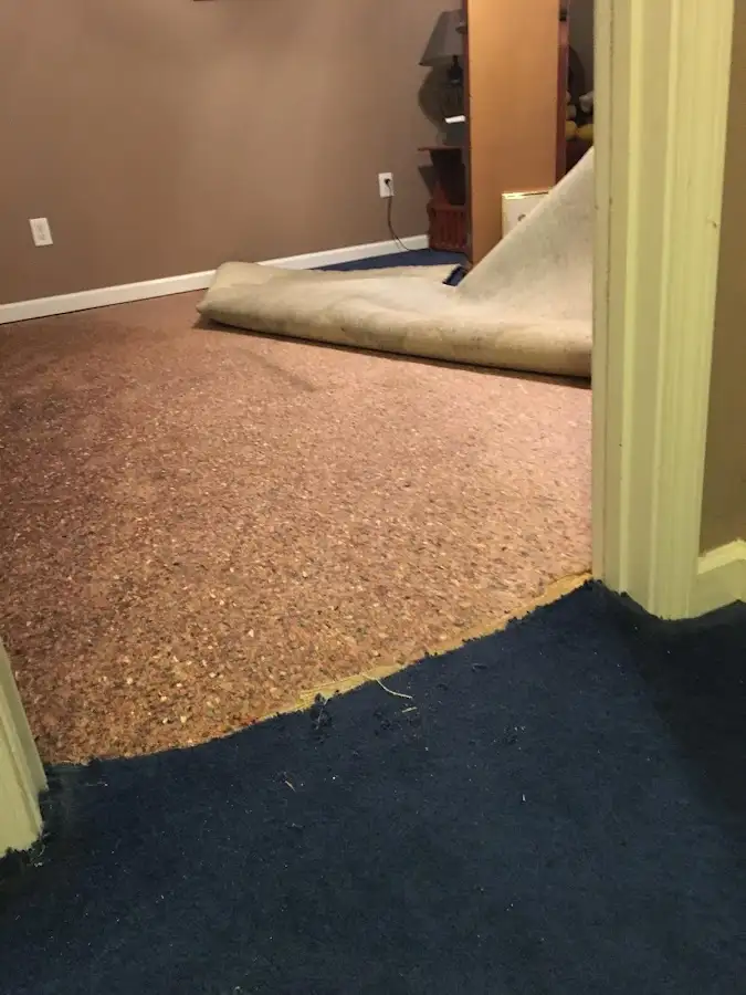Carpet pad removal revealing water damage during Drying & Dehumidification in Long Beach